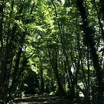 Dei Marmi 马尔米堡