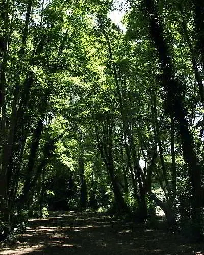 Dei Marmi פורטה דיי מארמי